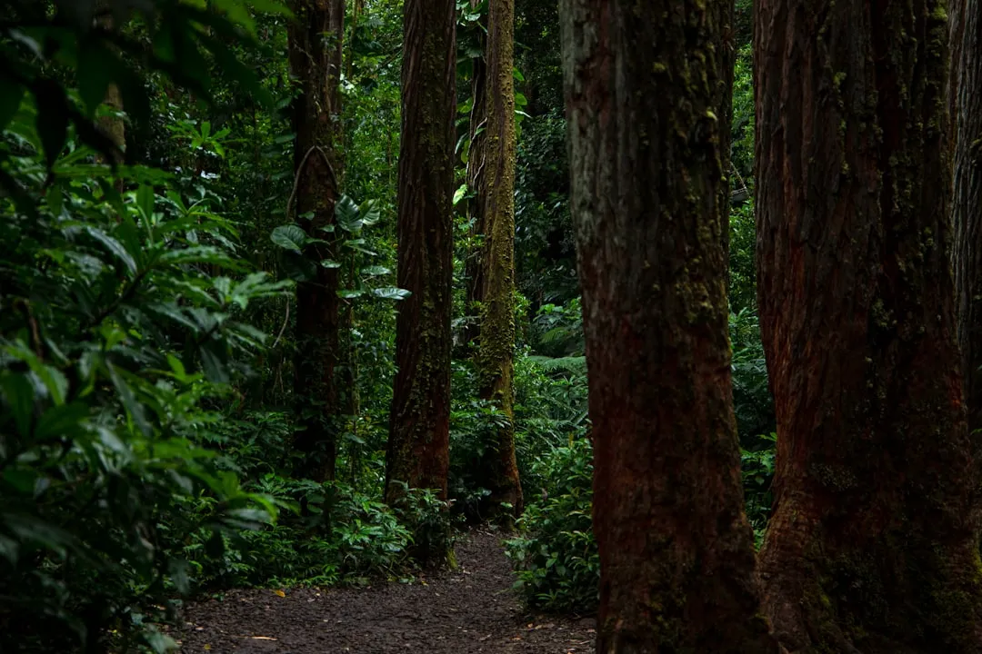 Photo Hiking trail