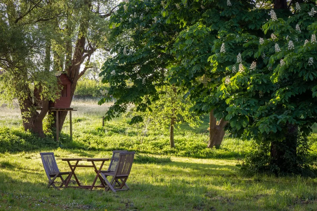 Photo Garden bench