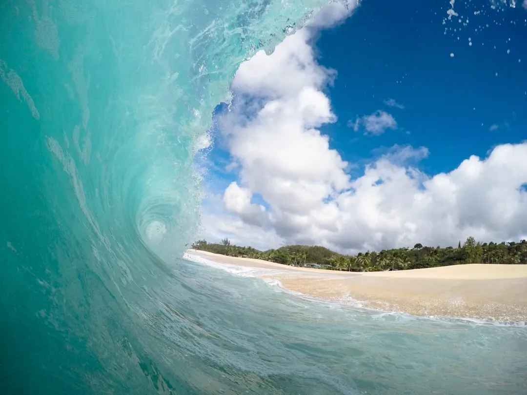 Photo Water barrel