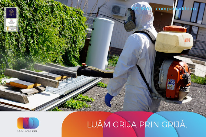 Igienizare completă cu DDD: metode eficiente