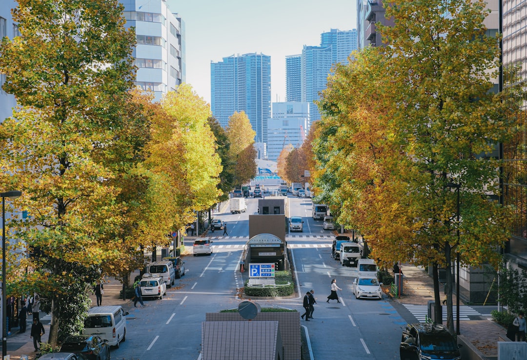 Photo traffic changes