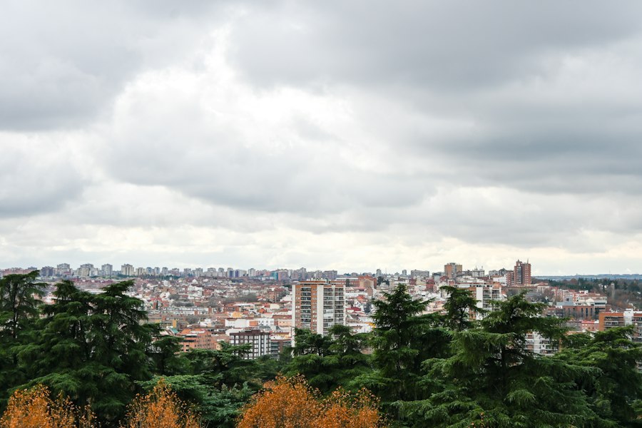 Photo urban green spaces
