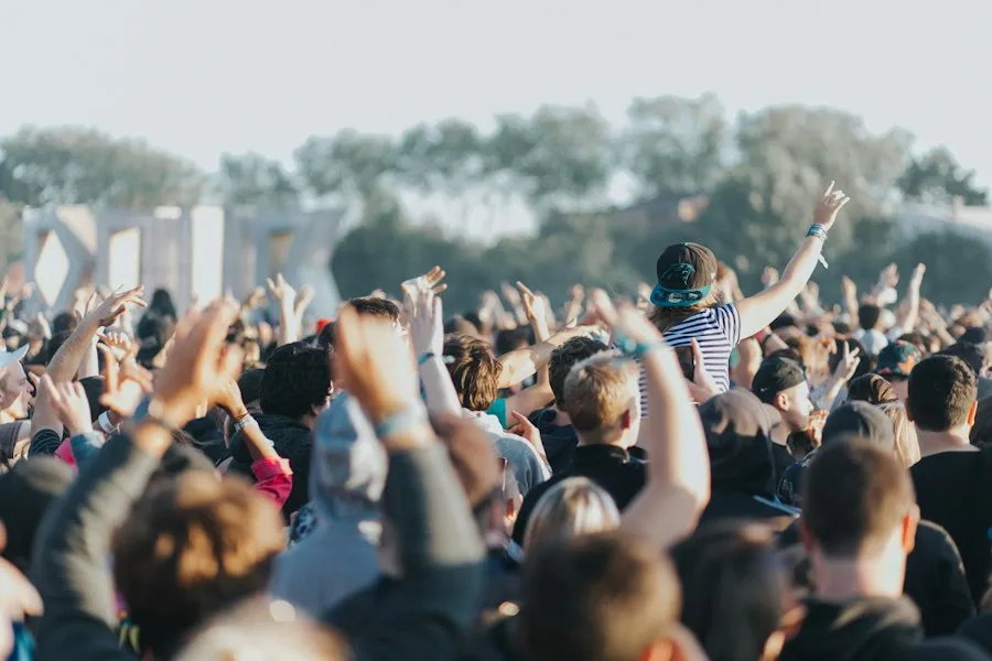 festival guide tips